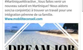 Et si nous rendions la Martinique Attractive ? Et si nous foutions les nègres dehors ? Et si on s'y mettait ?