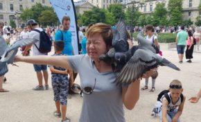 L'image du jour 19/06/17 - Paris