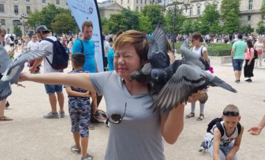 L'image du jour 19/06/17 - Paris