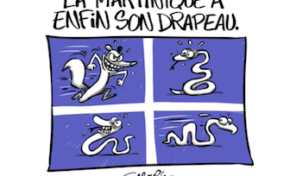 L'image du jour 03/07/17 - Drapeau Martinique by Gabourg