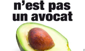 Ki plas nou pé ba lang kréyòl la adan piblisité ? Quelle place pour le créole dans la publicité ?