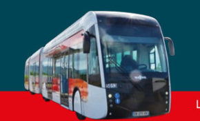 Des graines  en or pour les chauffeurs du TCSP