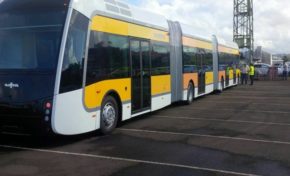 En Martinique...qu'est-ce qui est jaune et qui attend ?