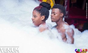 Entre-temps sous la mousse...petit à petit l'oiseau fait son nu