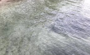 Guadeloupe : l'Anse Champagne ça va beaucoup mieux