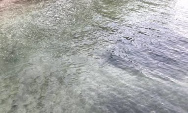 Guadeloupe : l'Anse Champagne ça va beaucoup mieux