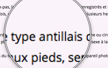 People Bò Kay invente le "type antillais" et confond voyeur et exhibitionniste