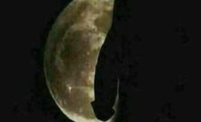 Ça y est l'éclipse est visible en Martinique et en Guadeloupe