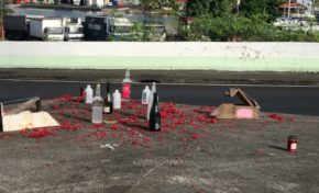 Quand le quimbois investit dans les ratières en Martinique