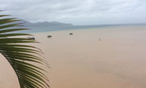 En attendant Harvey...