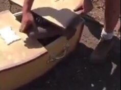 AFRIQUE DU SUD : DEUX FERMIERS JUGÉS POUR AVOIR ENFERMÉ UN JEUNE HOMME NOIR VIVANT DANS UN CERCUEIL