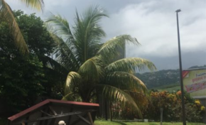 Maurice Antiste est sénateur mais il ferait un bon sinistre des Outres maires