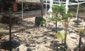 🎶🎵🎵Connaissez-vous Lili's ?🎶🎵🎵