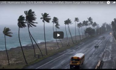 Suivez Irma en Floride en live vidéo