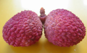 Les femmes en Martinique n'ont pas de couilles et ...ça devrait rassurer les hommes