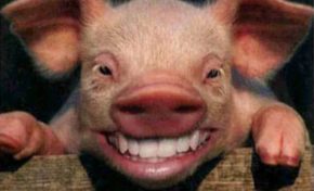 Harcèlement de rue : et si on inversait les rôles ?