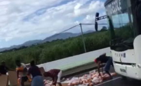 Martinique : "tou sa ki a tè sé ta chyen"