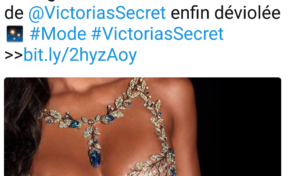 Le tweet du jour 04/11/17 le syndrome #Balancetonporc