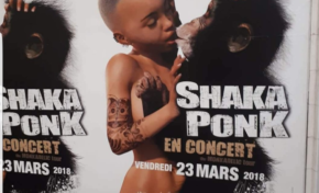 L'image du jour 18/11/17 - Shaka Ponk