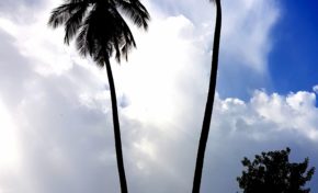 L'image du jour 29/12/17 Martinique - Le Rocher du Diamant