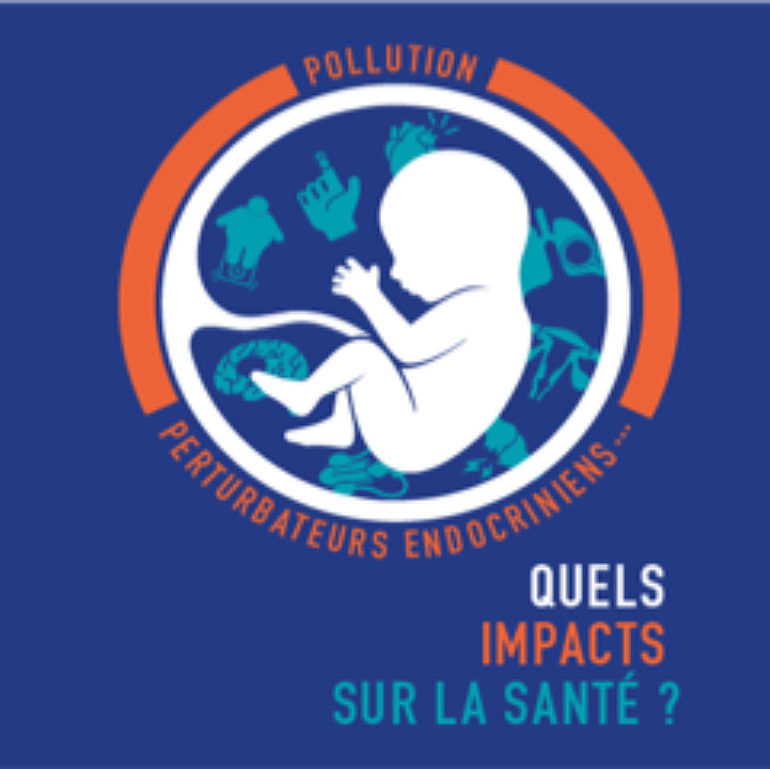 Conférence en Martinique : « Pollution, perturbateurs endocriniens, quels impacts sur la santé ? »