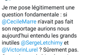 Le tweet du jour 10/02/18 - Letchimy  - Lurel -Chlordecone -Épandage -
