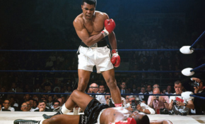 Alex URSULET met l’État français KO