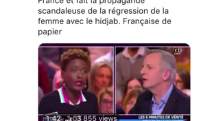 Nadine Morano traite Rokhaya Diallo de...FRANÇAISE DE PAPIER