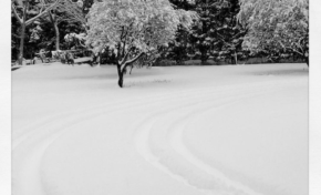 Paris...capitale du réchauffement climatique