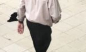 Marcellinador du Royaume de Préchanda