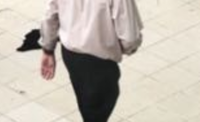 Marcellinador du Royaume de Préchanda