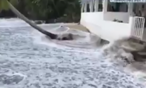 Forte houle à l'Anse Dufour en Martinique