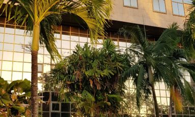 Donner la priorité aux intérêts de la Martinique