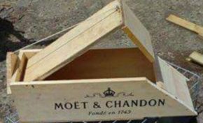 Chlordecone Day - Martinique - Guadeloupe