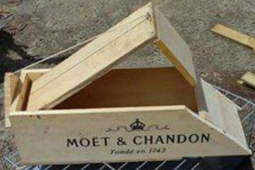 Chlordecone Day - Martinique - Guadeloupe