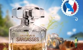 Désormais tout le monde est au parfum