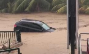 La Martinique teste la première Audi autonome