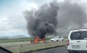 L'image du jour 27/04/18 - Martinique