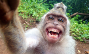 Voici ce qui se passe quand vous postez un selfie sur Facebook...