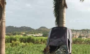 L'image du jour 17/04/18 - Martinique