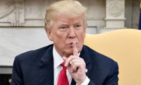 Algues sargasses en Martinique et en Guadeloupe...pourtant les solutions existent