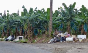 Les pollueurs sont des ordures - Martinique - Sainte-Marie - Musée de la Banane-