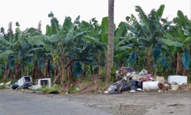 Les pollueurs sont des ordures - Martinique - Sainte-Marie - Musée de la Banane-