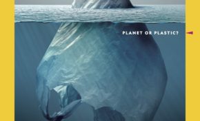 Plastic Planet (photos)