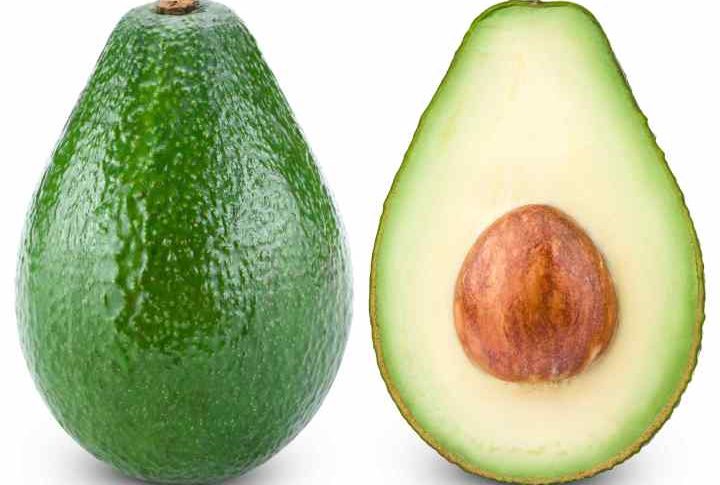 ATV : l'avocat et le vit nègre