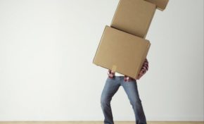 Collectivité Territoriale de Martinique : les francs-maçons font leurs cartons