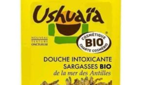 En attendant Nicolas Hulot...la Martinique ne manque pas de culot créatif
