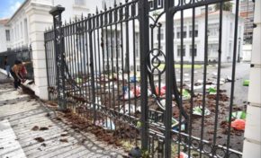 L'image du jour 09/06/18 - Martinique  - Algues sargasses