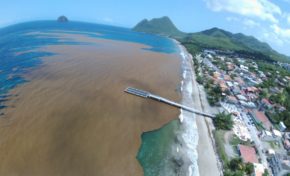 Images du jour 16/06/18 - Martinique - Diamant - Algues sargasses - Nicolas Hulot