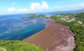 Alors Nicolas Hulot ce n'est pas de la catastrophe naturelle an kounia sa man pa lé di'w la ?